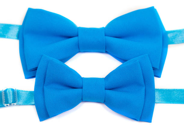 istock Blue bow tie isolated on white background. Big and small 639753932