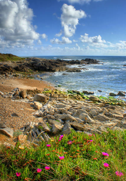 istock Rock beach in Vila Praia de Ancora 639754410
