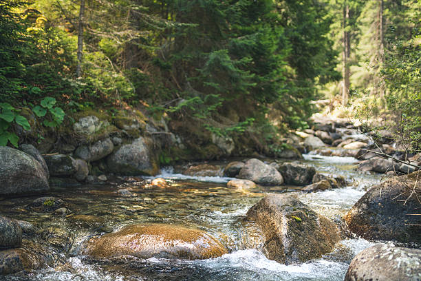 istock Beautiful stream in mountains. 639754614