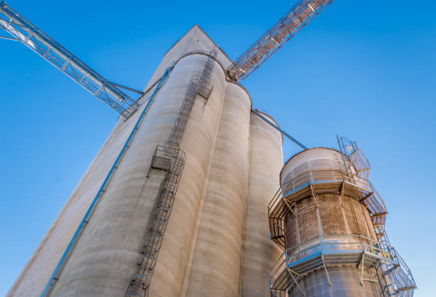 istock Upward View of Grain Large Grain Elevator 639755554
