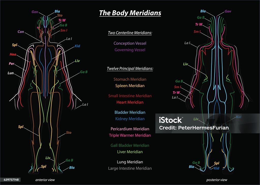 Woman Meridian System Description Chart Black - Royaltyfri Akupunktur vektorgrafik