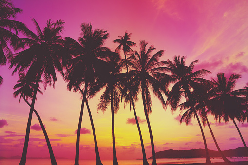 Tropical sunset over sea with palm trees, Thailand. Retro vintage filtered.