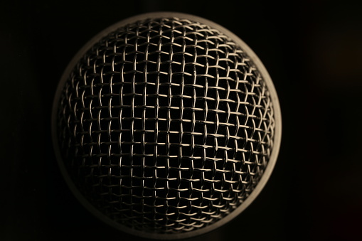 Microphone macro vertical detail