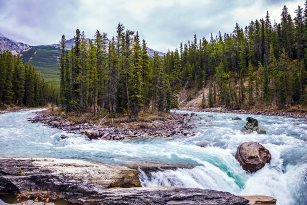 istock The ecological trip to Canada 639761870