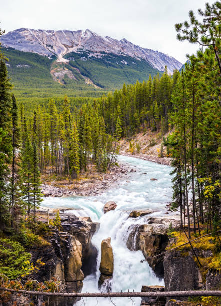 istock Autumn trip to Jasper National Park 639762348