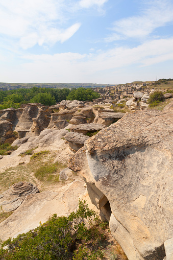 Hoodoo badlands of Writing-on-Stone Provincial Park and Aisinaipi National Historic Site in Alberta, Canada. The area contains the largest concentration of First Nation petroglyphs (rock carvings) and pictographs (rock paintings) on the great plains of North America. Vertical orientation.