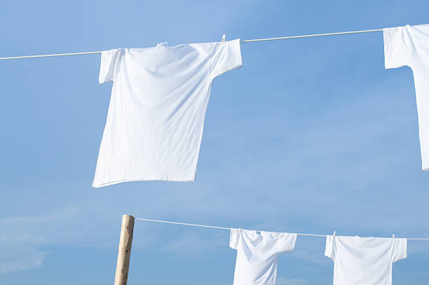 istock White T-shirt laundry 639762668