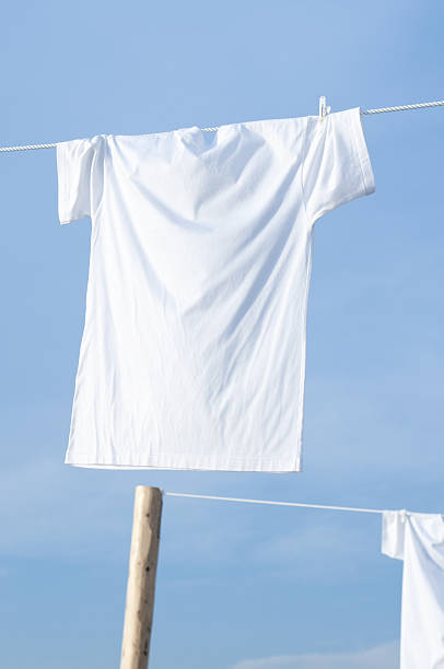 istock White T-shirt laundry 639762688