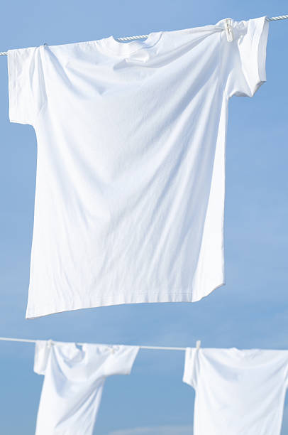 istock White T-shirt laundry 639762704