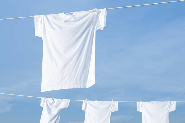 istock White T-shirt laundry 639762716