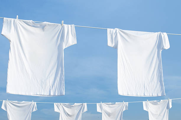 istock White T-shirt laundry 639762776