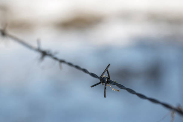 istock Close-up of barbwire 639763000