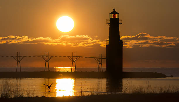 Lone Canadian Goose takes flight at Sunrise