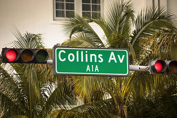 istock Collins Avenue in Miami by palm trees 639771210
