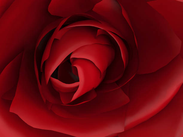 istock 3D illustration zoom red rose 639772502