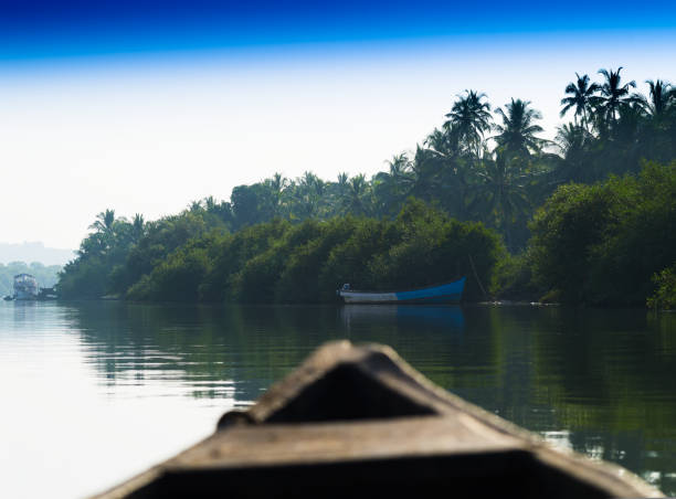 istock In Indian boat swimming down the jungle river background 639774026