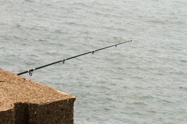 istock Fishing rod on a rock facing the sea 639775256