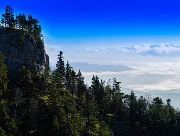 istock Horizontal vivid mountain forest slope landscape background back 639777992