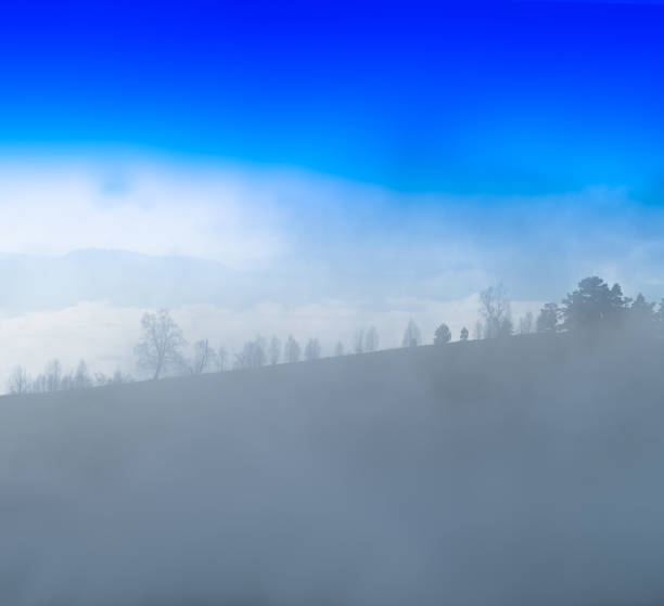 istock Square forest silhouette in fog landscape background backdrop 639778080