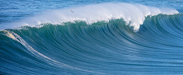 海の波  - wave breaking ストックフォトと画像