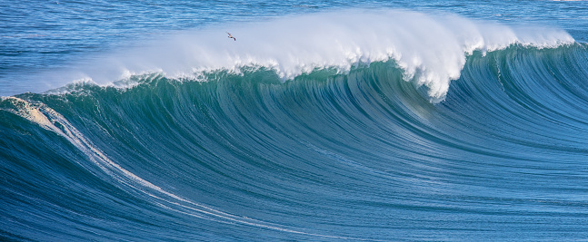 Large waves breaking in northern California