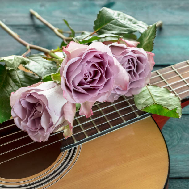 istock Guitar neck with tender pink roses on dark background 639785744