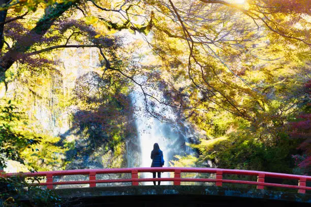 Minoh waterfall in autumn season, Osaka Japan