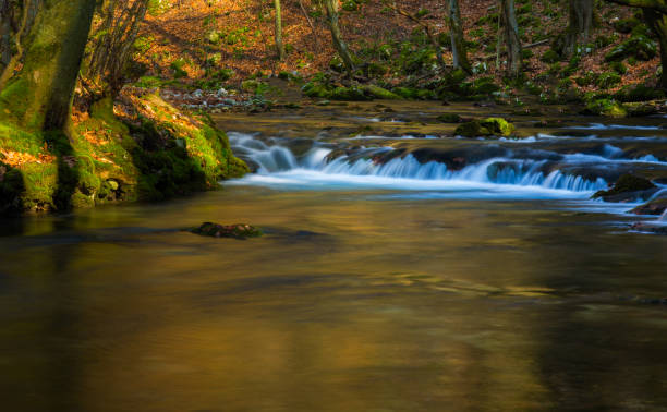 istock Pristine waterfalls deep in the woods, on a sunny day 639789008