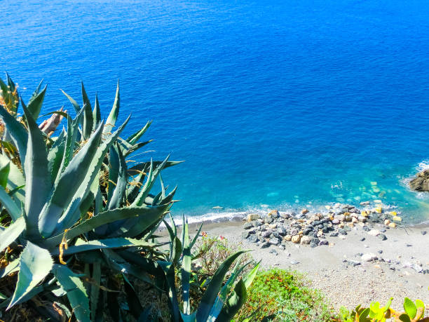 istock Vernazza, Cinque Terre Italy 639791914