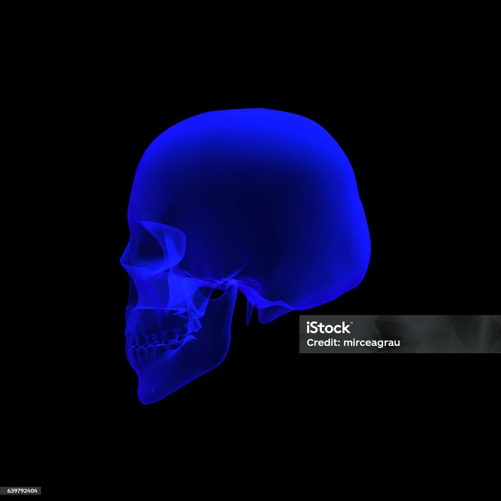 High Resolution Skull 3d Rendering Of Human Skull Stock Illustration - Download Image Now ...