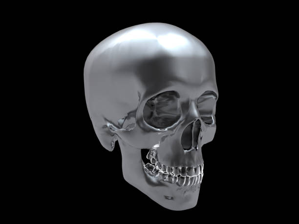 istock 3d illustration of chrome skull isolated 639793958