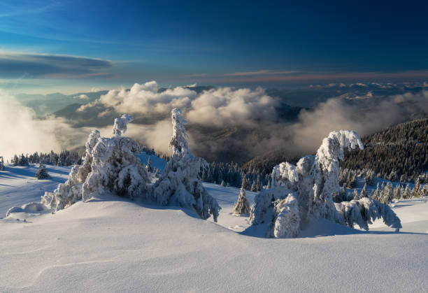 istock Snowy trees in winter mountains, Carpathians, Ukraine 639796302