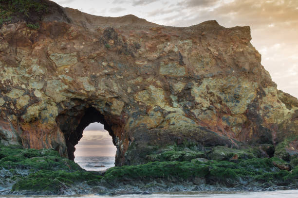 istock The Sea Arch at Pescadero State Beach 639800876