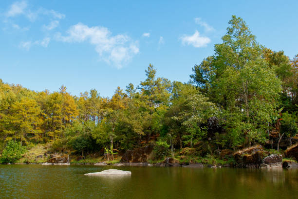 istock forest and lake with light sky background 639801198
