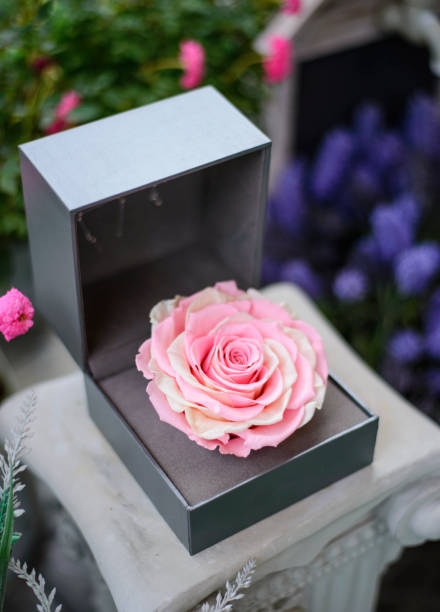 istock Pink roses in gift box 639803844