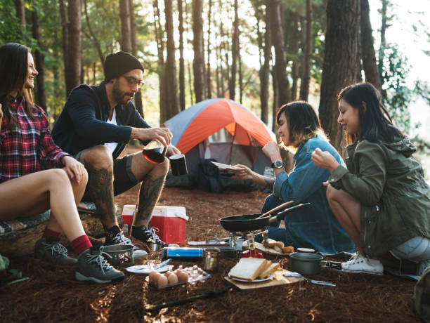 istock Friends Camping Eating Food Concept 639805140
