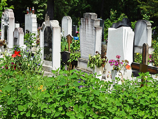 istock Tombstones in the public cemetery 639805972