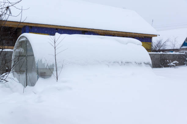 istock greenhouse covered with snow 639806422