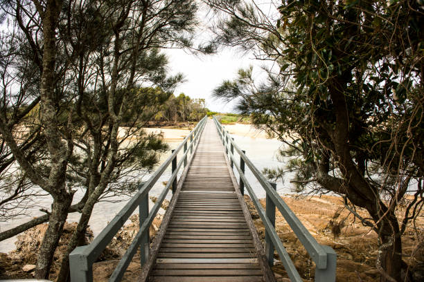 istock Sydney seascape 639808492
