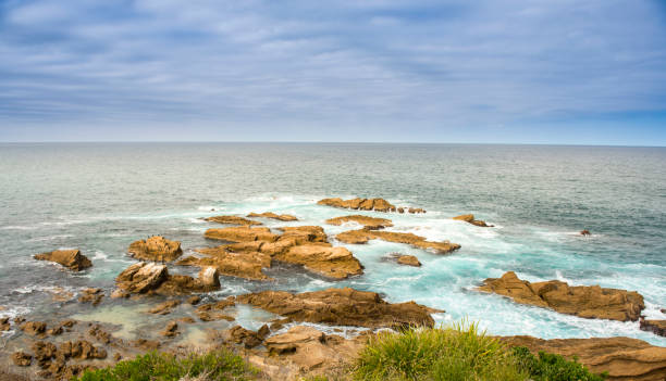 Sydney seascape