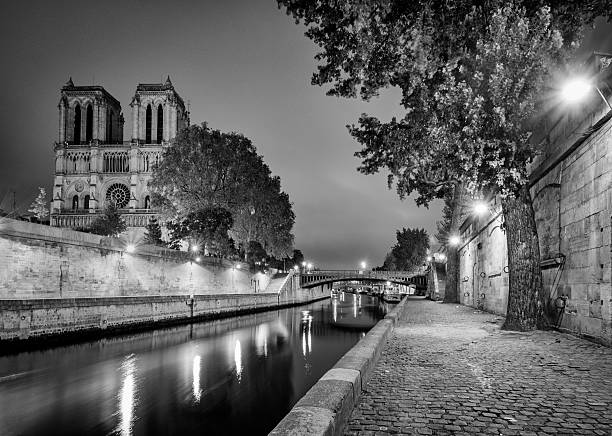 ノートルダム、パリ、セーヌ川 - paris france notre dame night ile de la cite ストックフォトと画像