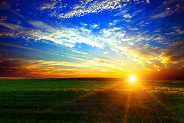istock Green Field and Beautiful Sunset 639813962