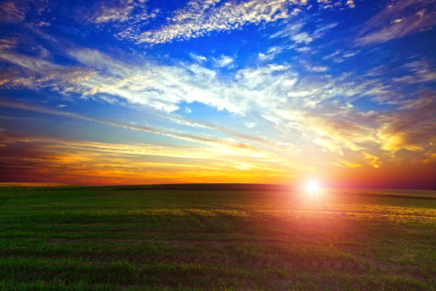 istock Green Field and Beautiful Sunset 639814030