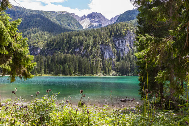istock Trentino (Italy). Lake Tovel 639814212