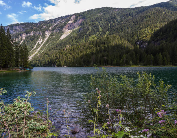 istock Trentino (Italy). Lake Tovel 639814300