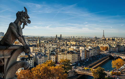 Gargoyle figur on Notre Dame looking towards Eiffel Tower