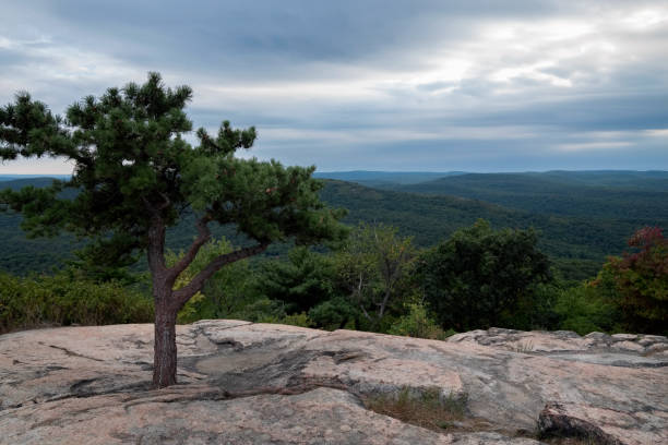 istock View from Bear Mountain before sunset, New York, USA. 639815242
