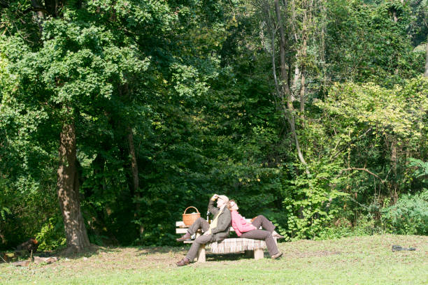 istock Senior couple on the bench 639816778