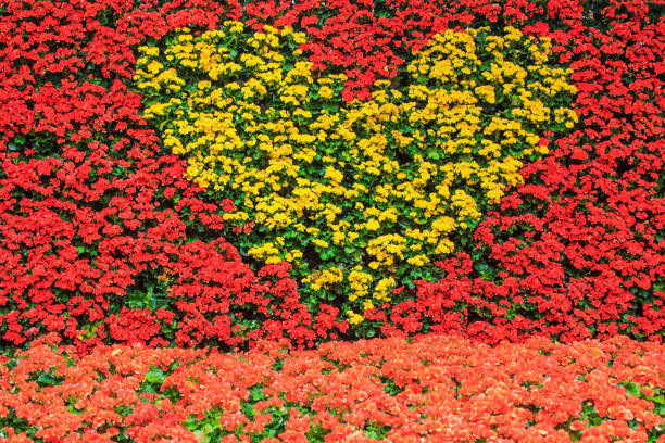 istock Heart-shaped floral arrangement background,Valentine's day 639817908