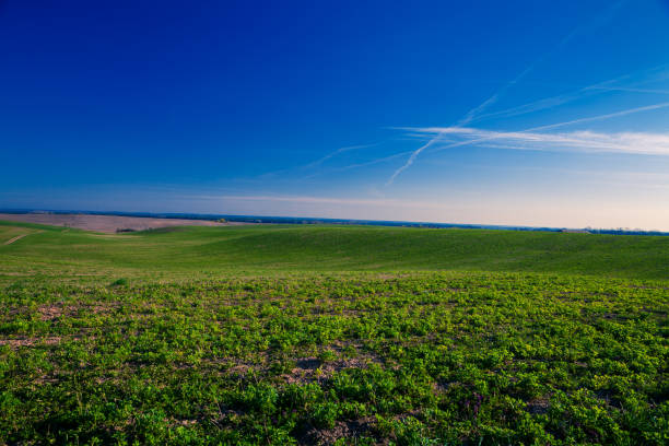 istock Green Field and Beautiful Sunset 639821064